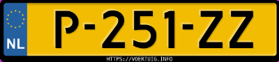 Kenteken afbeelding van P251ZZ, grijze Cupra Born 150 Kw 58/62 Kwh Rwd 58