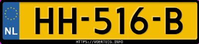 Kenteken afbeelding van HH516B, grijze Ford TRANSIT-NUGGET