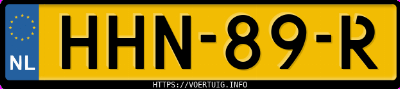Kenteken afbeelding van HHN89R, grijze Seat Ibiza