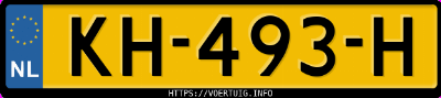 Kenteken afbeelding van KH493H, grijze Seat Ibiza