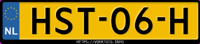 Kenteken afbeelding van HST06H, grijze Toyota Rav4