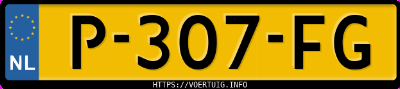 Kenteken afbeelding van P307FG, grijze Toyota Rav4